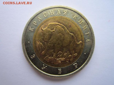 КК 94 Зубр 50 руб. до 30.11.2017 в 22:30 - IMG_7415.JPG