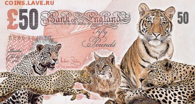 куплю красивые боны с животными,насекомыми не дорого!!! - money-new-4