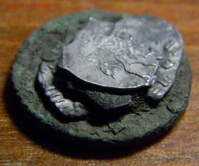 Слепок из чешуи и полушки - DSCN1998.JPG