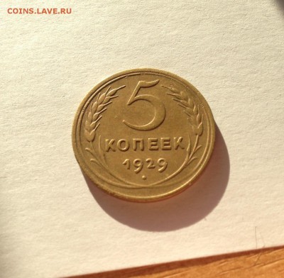 5 копеек 1929г. , до 30.11.17г. - 529-4