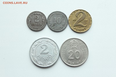  23:00 - IMG_8158.JPG
