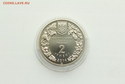  23:00 - IMG_8171.JPG