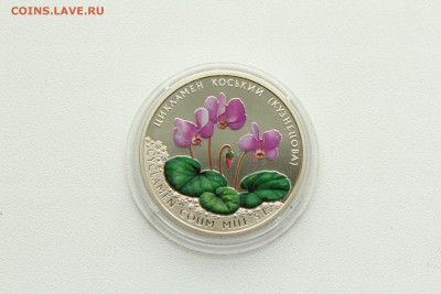  23:00 - IMG_8170.JPG