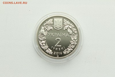  23:00 - IMG_8173.JPG