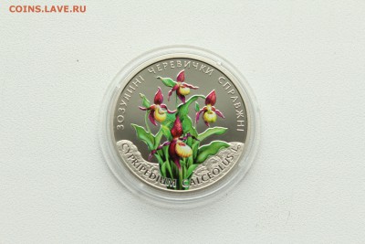 23:00 - IMG_8172.JPG