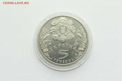  23:00 - IMG_8177.JPG