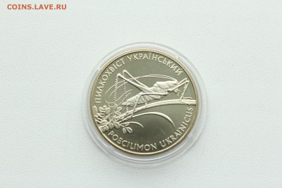  23:00 - IMG_8181.JPG