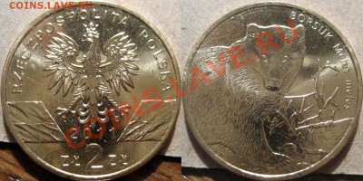 2 злотых 2011 Барсук до 21.03.2011 22-00 ФВ - Барсук