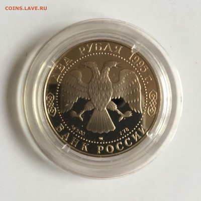 2р. 1995 Грибоедов 27 11 17 23.30 - IMG_2892.JPG
