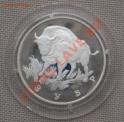 1 рубль 1997 г КРАСНАЯ КНИГА, Зубр, ПРУФ до 22.03.11 22:30 - DSCN5173.JPG