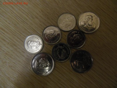 10 и 5 центов Канады 8 шт.до 1.12.2017г. - DSCN0678.JPG