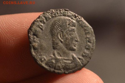 Констанций Галл 351-354 - CSC_0110.JPG