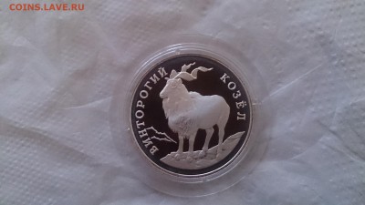 Набор Красная книга 1993 до 3.12. 22.00 МСК - DSC_1617.JPG