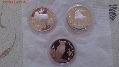 Набор Красная книга 1993 до 3.12. 22.00 МСК - DSC_1588.JPG