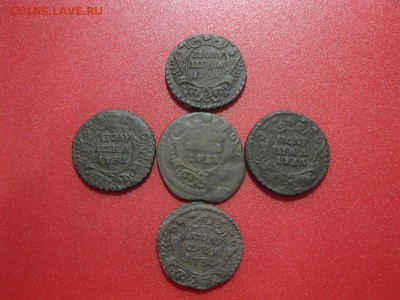 лот полушек  1731,34 года - IMG_8866.JPG