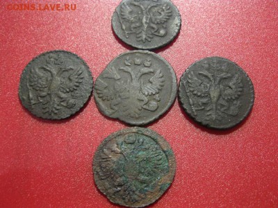 лот полушек  1731,34 года - IMG_8869.JPG