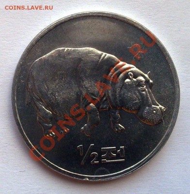 2 воны 2006 Бегемот до 21.00 24.03 - КНДР бегемот-1