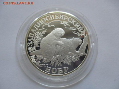Западносибирский бобр. 1 руб. 2001. Красная книга. - IMG_9991.JPG