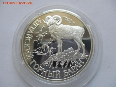 Алтайский горный баран. 1 руб. 2001. Красная книга. - IMG_9994.JPG