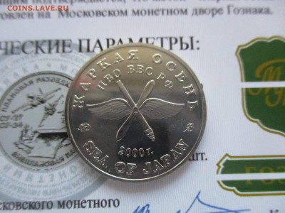 Жетон ММД. жаркая осень - IMG_9955.JPG