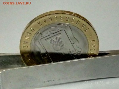 Тамбовская область брак гурта - IMG-20171128-WA0015