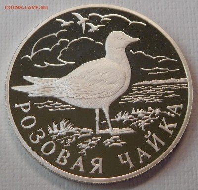 3х1 рубль 1999 Красная книга России до 04.12.17  22:00 - Чайка (1).JPG