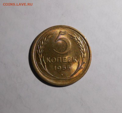 5 копеек 1955 блеск - 5_kopeek_1955 (8)