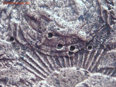 1 коп. 1925 г. до 22-00. 03.12.17 г. мск - P1400338.JPG