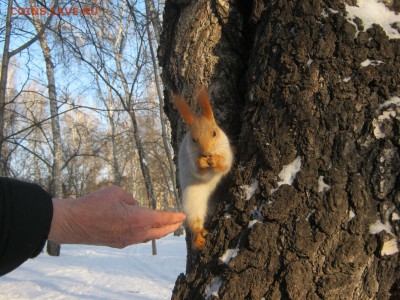 Стихи на заданную тему - IMG_4241[1].JPG