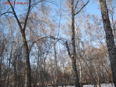 Стихи на заданную тему - IMG_4223[1].JPG