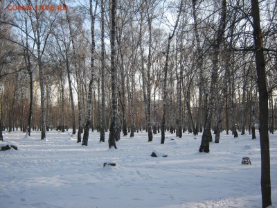 ФОТО - просто фото. Те что получились удачными. - IMG_4209[2].JPG