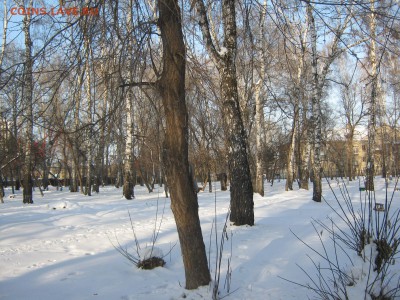 ФОТО - просто фото. Те что получились удачными. - IMG_4224[1].JPG
