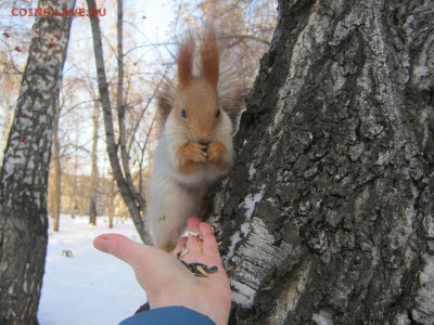 ФОТО - просто фото. Те что получились удачными. - IMG_4219[1].JPG