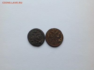 2 полушки одна 1735г на второй года нет - IMG_1724.JPG