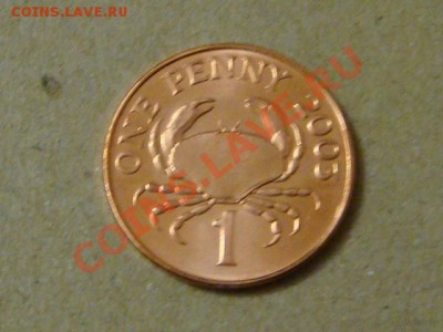 -v- Гернси пенни 2003 Краб до 24.03(21.00) - DSC01166.JPG