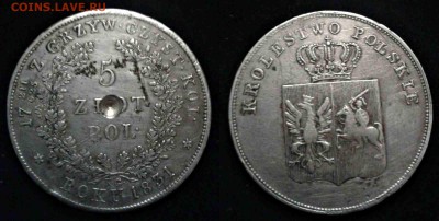 5 Zlot 1831 c повреждением - новый коллаж