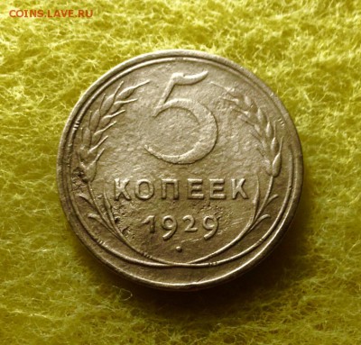 5 копеек 1929 г., с 200 до 04.12.17 - IMG_0739.JPG