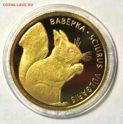 50 руб. 2009г.Белорусь "Белка".Золото.до 03.12.17 в 22-00 мс - белка2.JPG