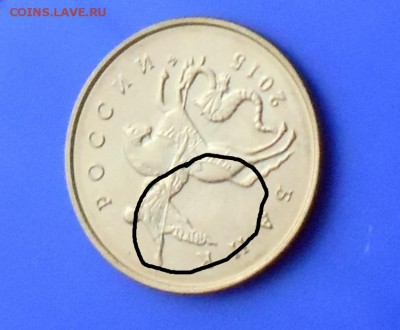 Брак монет, ассорти 11 шт, до 1.12.2017 22 00 мск - DSCN1397.JPG