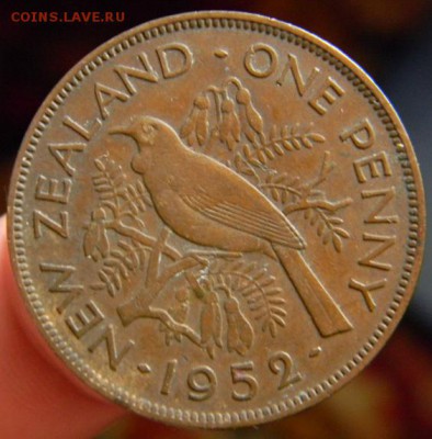 пенни новая зеландия 1952 - DSCN2228.JPG