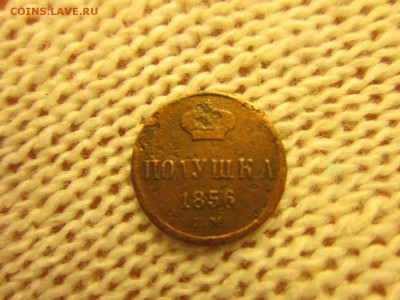 Полушка 1856г. (ЕМ) До 07.12.2017г. 22:00(мск) - 21-1.JPG