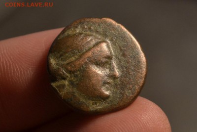 Антика.Аолис.Кима.165-140 год до н.э. - CSC_0194.JPG