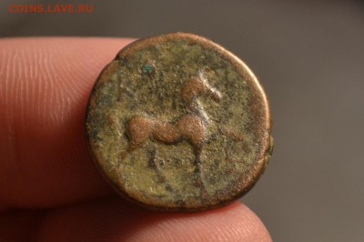 Антика.Аолис.Кима.165-140 год до н.э. - CSC_0195.JPG