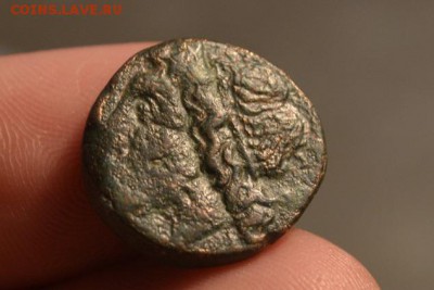 Антика.Сиракузы.Гиерон Ii 270-215 год до н. э. - CSC_0168.JPG