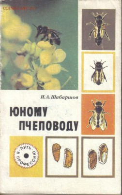 Шабаршов И.А. Юному пчеловоду. Книга для учащихся до 3.12 22 - Юному пчеловоду-1