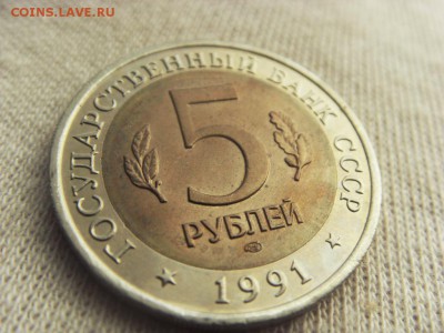 Красная Книга- Филин 1991 до 08.12.17 г. - SDC15734.JPG
