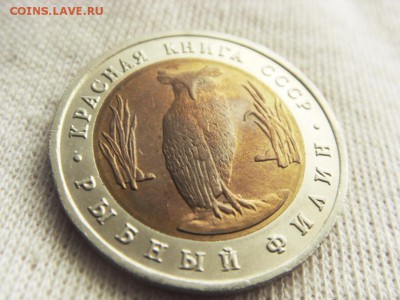 Красная Книга- Филин 1991 до 08.12.17 г. - SDC15730.JPG
