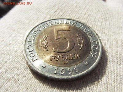 Красная Книга- Филин 1991 до 08.12.17 г. - SDC15735.JPG