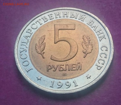 5 РУБЛЕЙ 1991 РЫБНЫЙ ФИЛИН до 6.12.17 _22:10 МСК - DSC_1910.JPG