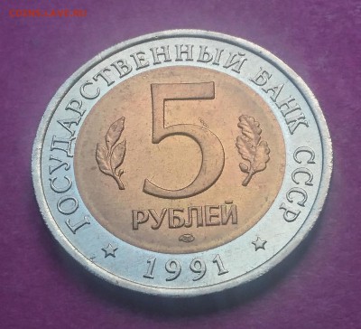 5 РУБЛЕЙ 1991 ВИНТОРОГИЙ КОЗЁЛ до 6.12.17 _22:10 МСК - DSC_1912.JPG